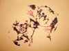 Stranger Danger - Triptych, 7.5"x19.5", 19.5"x25.5", 7.5"x19.5" Ballpoint,
mixed media on paper, 2007
