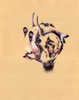 Ironic Mustache, 11"x14", Ballpoint, mixed media on paper, 2007